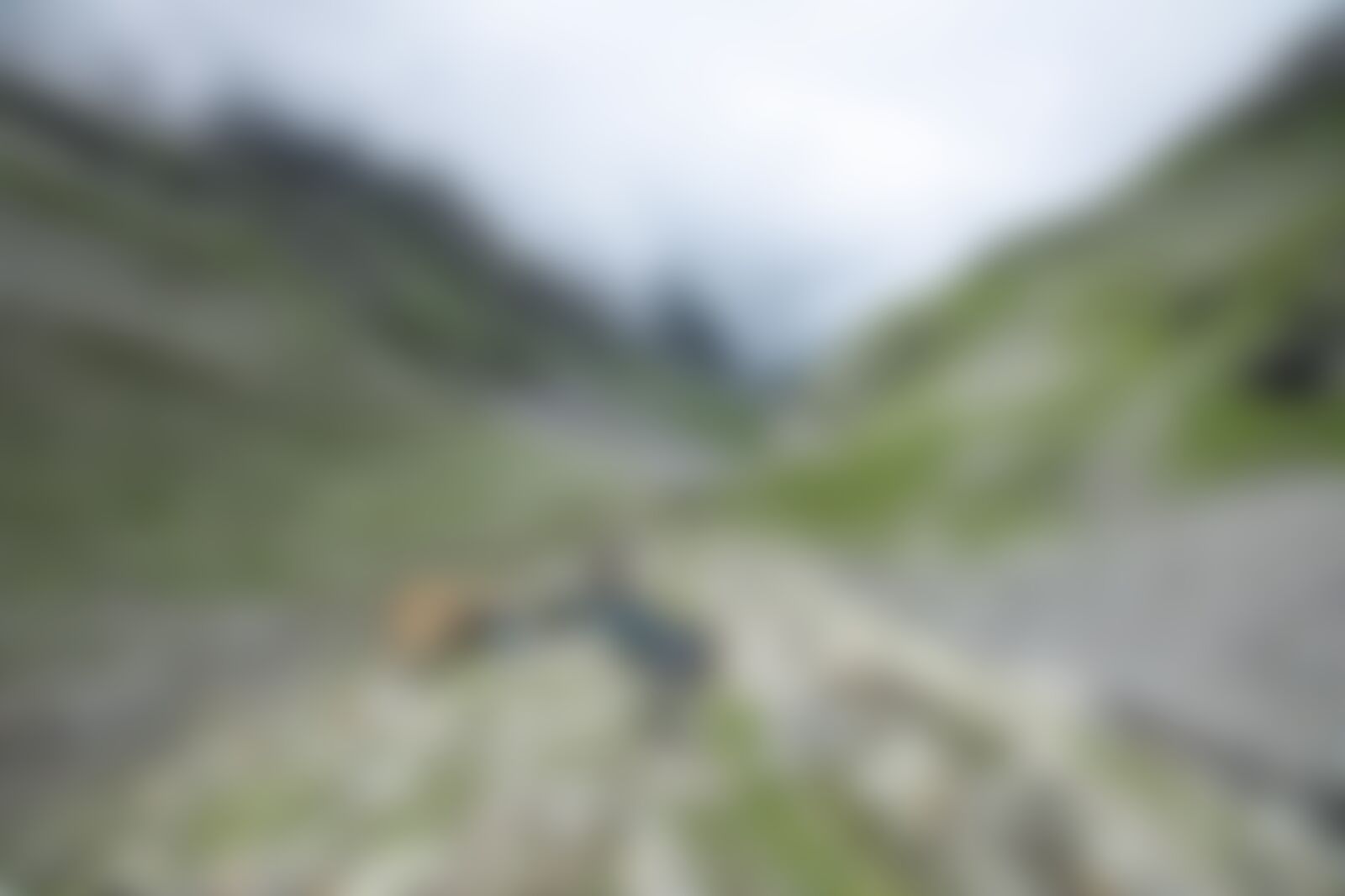 low-preview-8ce47a0b e9db 4403 8577 d847a2434175 hampta pass hp indiahikes jothiranjan balu ka gera to summit august 2021 11