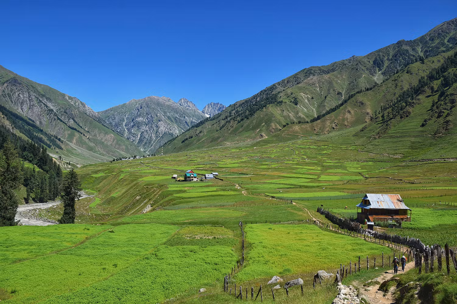d74f701b 4e8a 432b 9beb 104dcf491055 %2833%29 warwan valley photo story   sukhnai   villages of warwan   nitesh kumar   indiahikes