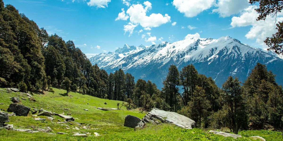 eab55266 77bd 4604 81b8 131d53575e26 chandrakhani pass cp jothiranjan exploration may 2023 monsoon treks  %2897%29